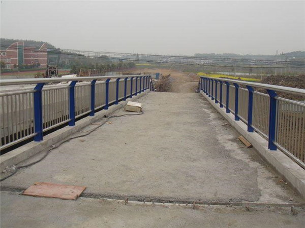 昌江桥梁不锈钢护栏